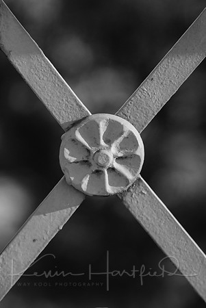 IMG_4460