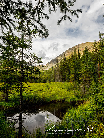 P8291676-HDR