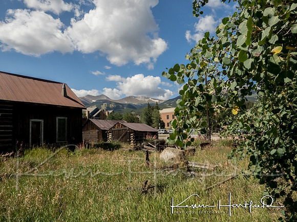 P8311788-HDR
