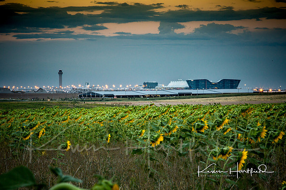 WKP_1098-Edit