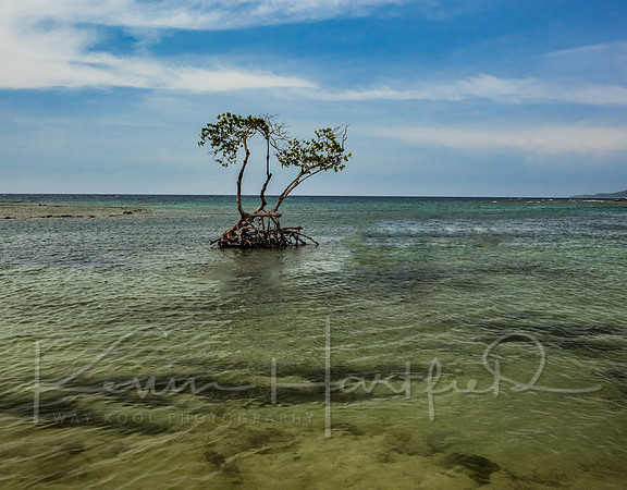 P8170984-Edit